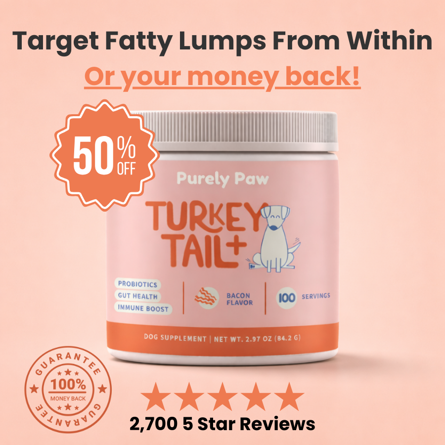Turkey Tail+ by Fifth & Fido