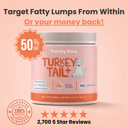 Turkey Tail+ by Fifth & Fido