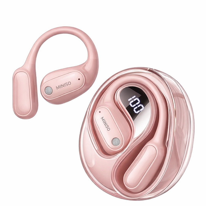 Translation Earbuds