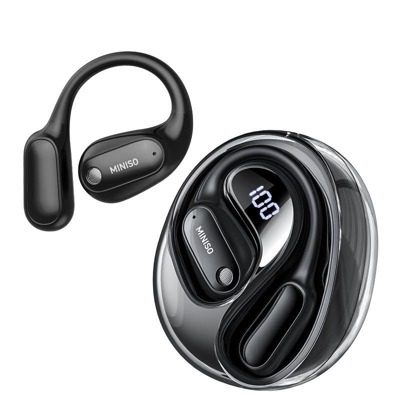 Translation Earbuds