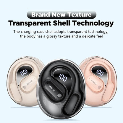 Translation Earbuds